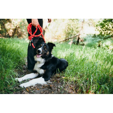 ZippyPaws Smycz z liny wspinaczkowej 1,8m czerwona ZP308