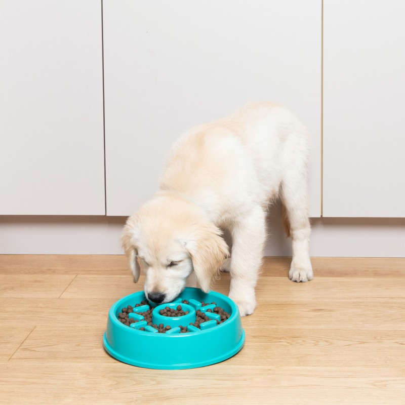 Miska spowalniająca dla psa ZippyPaws Donut ZP429