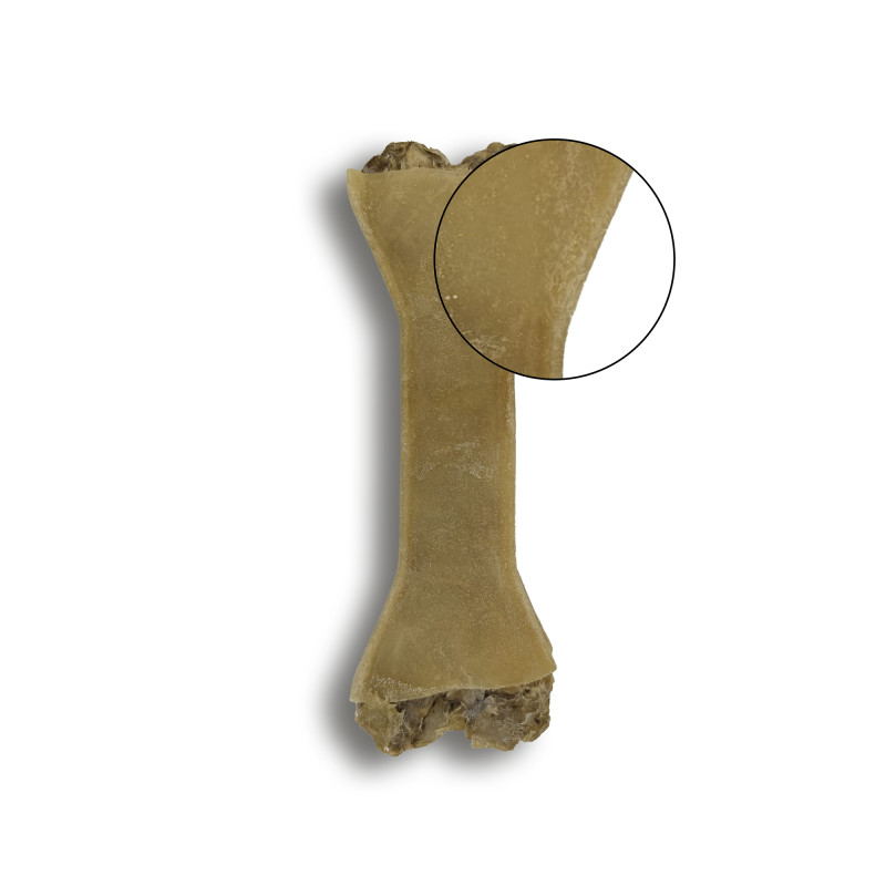 BUBAlicious Kość Adult ze skórą końską z dodatkiem konopi 12cm 3973