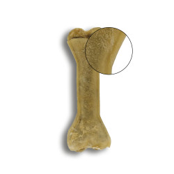 BUBAlicious Kość Adult z królikiem 17cm 3705