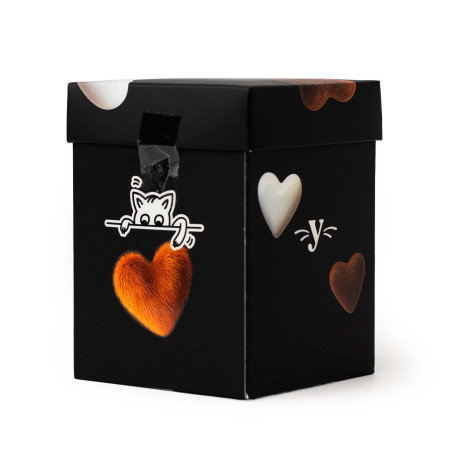 Yogupet XMAS dla psa i kota Black Snack Box 100g Krótki termin przydatności do spożycia 1.01.2027