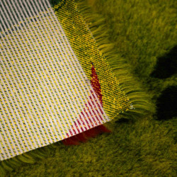 BUBA Legowisko antypoślizgowe DRY BED 28mm warzywa A21