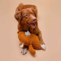 BUBA Niedźwiedź Eco-line 3580