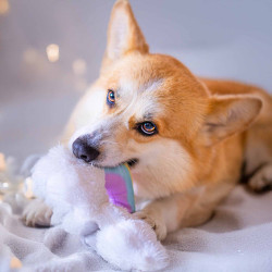 BUBA Tęcza pluszowa ultrasoniczna 5553