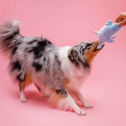 BUBA Delfin ultrasoniczny 5554