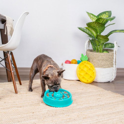 Miska spowalniająca dla psa ZippyPaws Donut ZP429