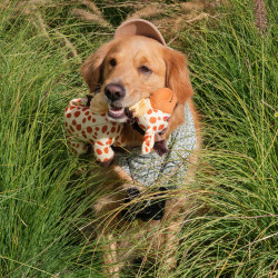 ZippyPaws Żyrafa bungee ZP1124