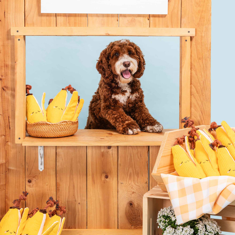 ZippyPaws Zabawka dla psa Banan z liną ZP1170