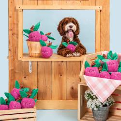 ZippyPaws Zabawka dla psa Śliwka z liną ZP1171