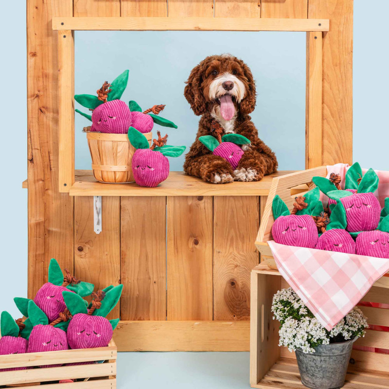 ZippyPaws Zabawka dla psa Śliwka z liną ZP1171