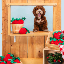 ZippyPaws Zabawka dla psa Truskawka z liną ZP1172