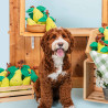 ZippyPaws Zabawka dla psa Gruszka z liną ZP1173