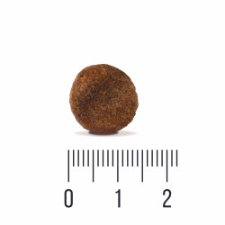QUATTRO PUPPY no Grain all breed SALMON&KRILL bezzbożowa karma dla psa