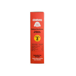 CANUMI Twin Treats – Grzbiet z Łososia przysmak dla Psa 2x70g